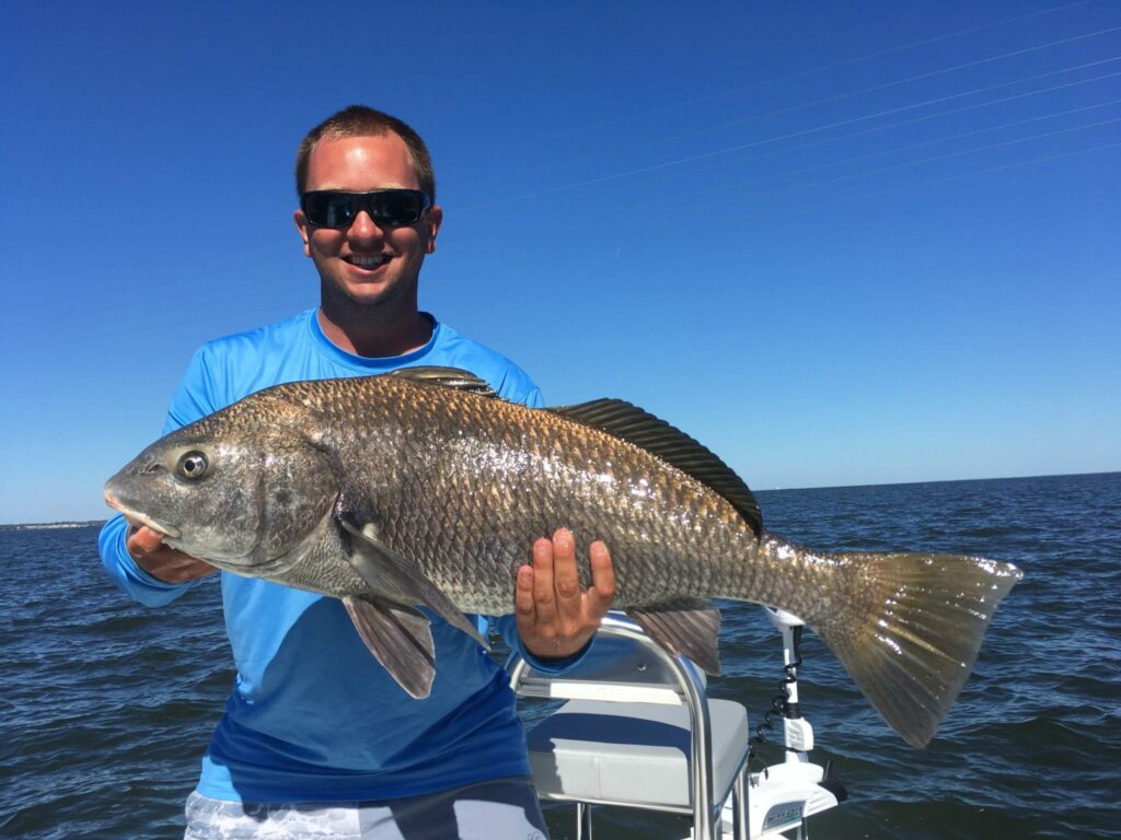 how to catch black drum in texas