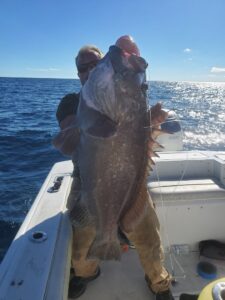 How to Catch Grouper on the Texas Coast